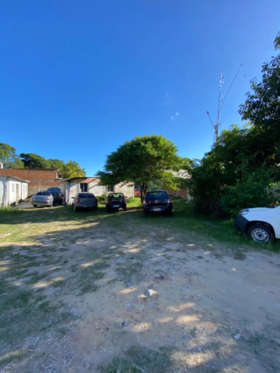 Foto - Paulista - Janga