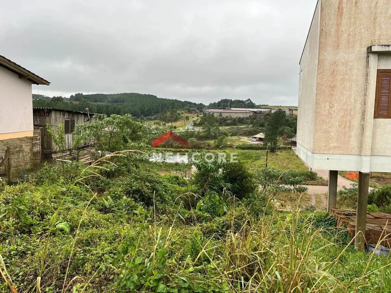 Lote em Rua Gilberto de Zorzi - São Miguel - São Francisco de Paula/RS - Foto 2