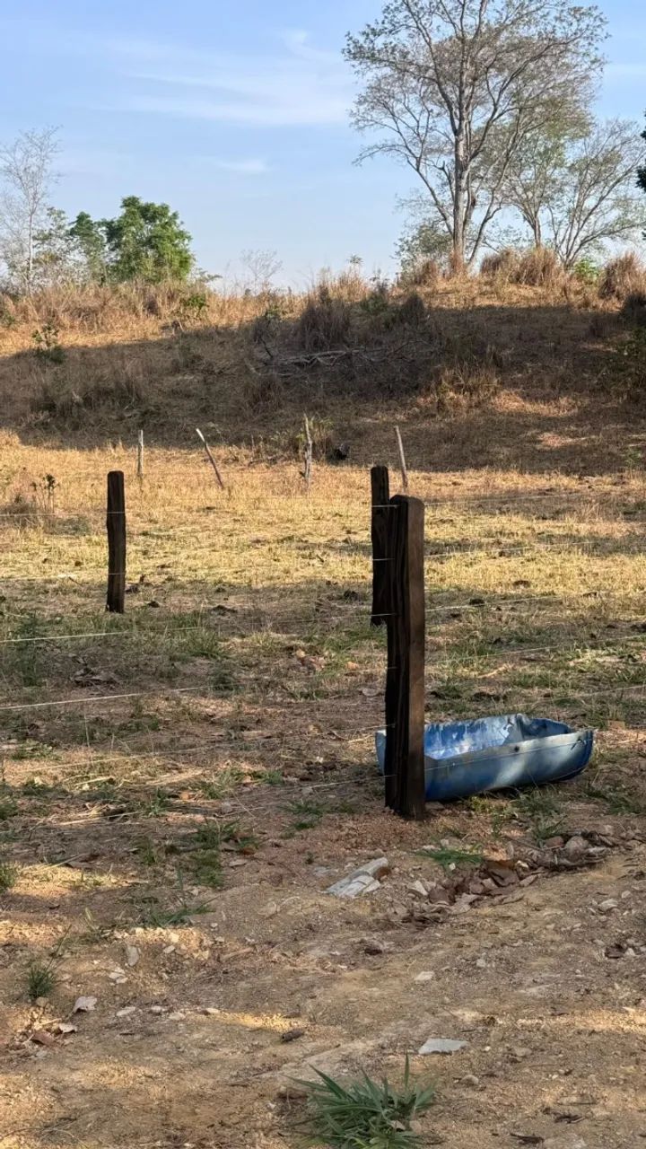 FAZENDA 22,5 ALQUEIRES NO QUEBRA LINHA - Foto 4