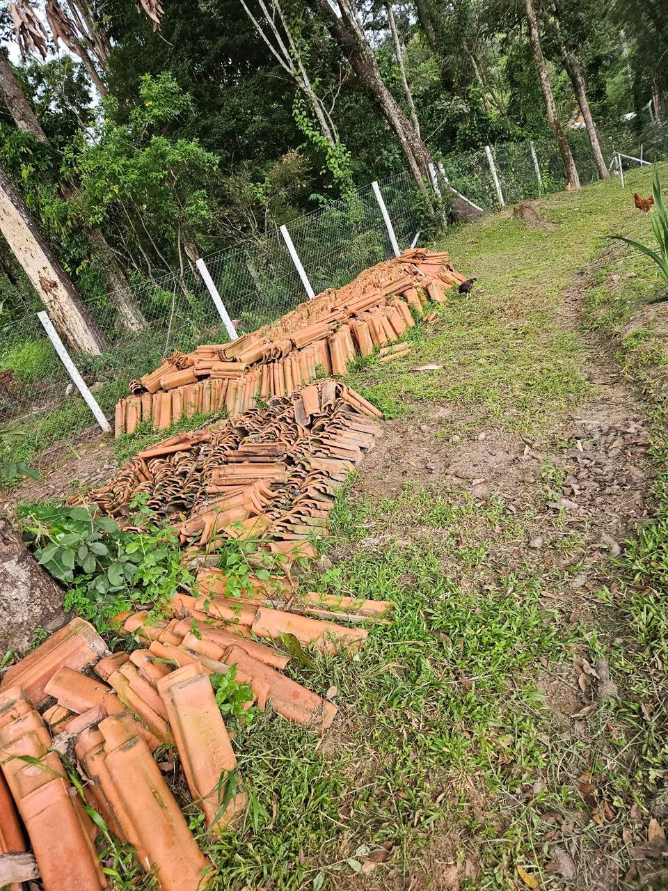 Telha Colonial  - Foto 4