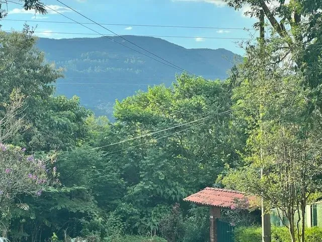 Lote/Terreno para venda tem 1200 metros quadrados em Ville de Montagne - Nova Lima - MG