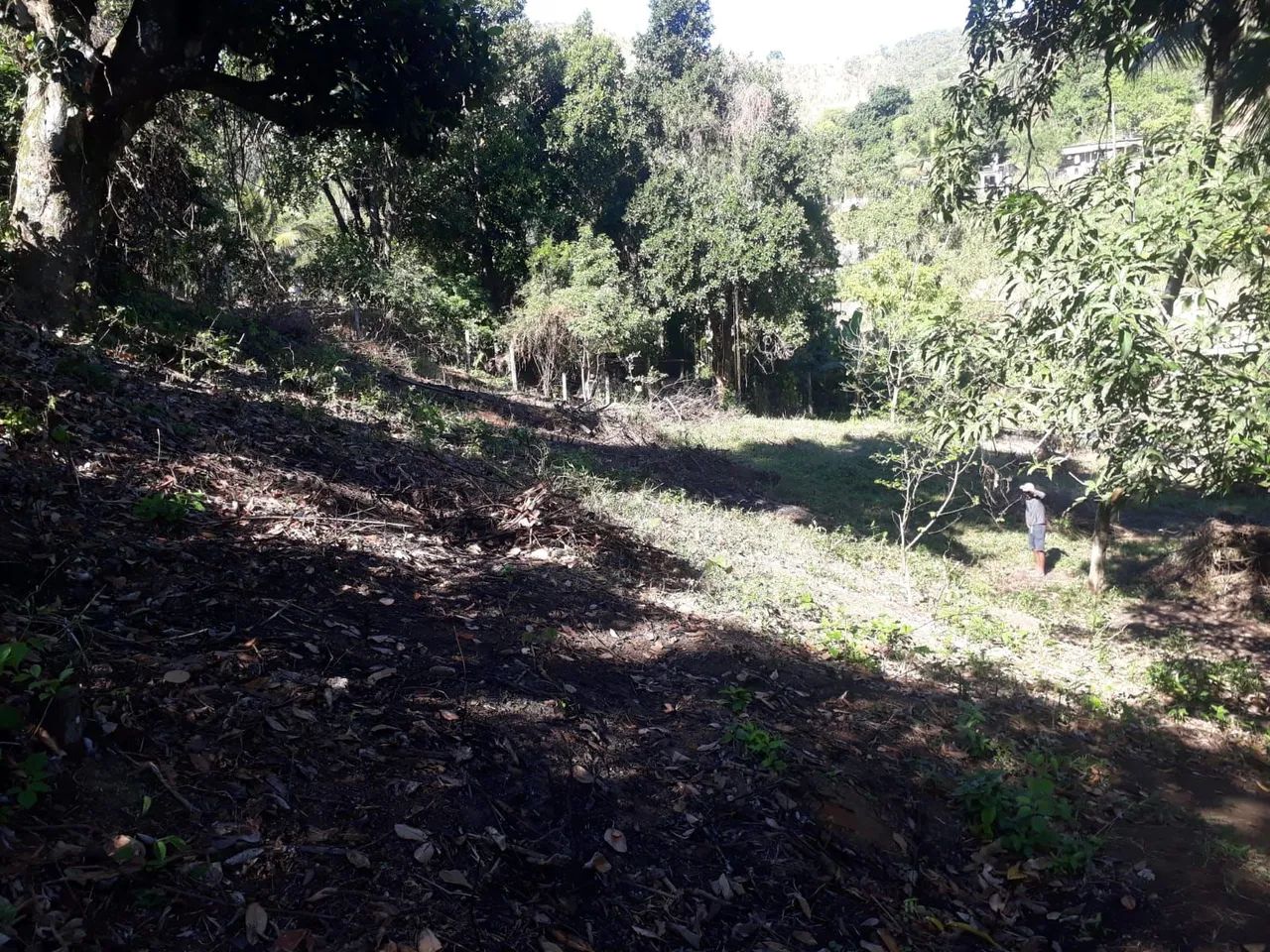 Terreno  bairro Luiz Camões  - Foto 3