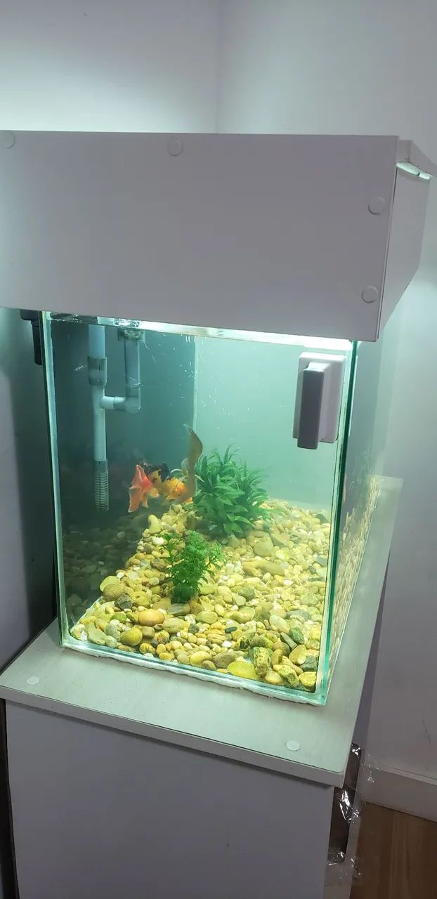 Aquario 72 Litros  - Foto 4