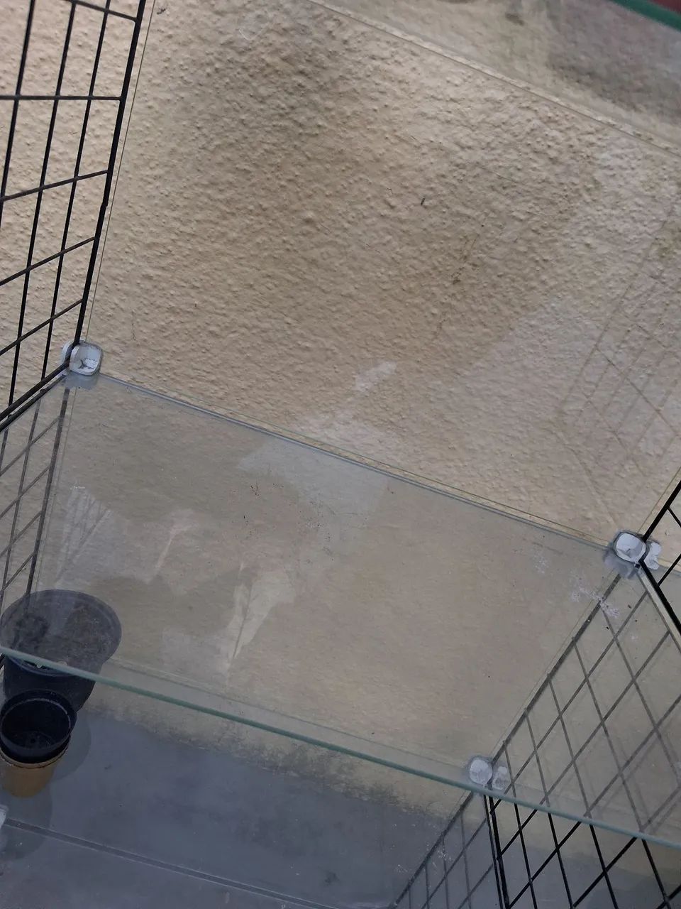Vitrine de vidro - Foto 2