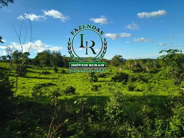 Fazenda-Chácara 13 Alqueires Próximo Paraiso - Foto 4
