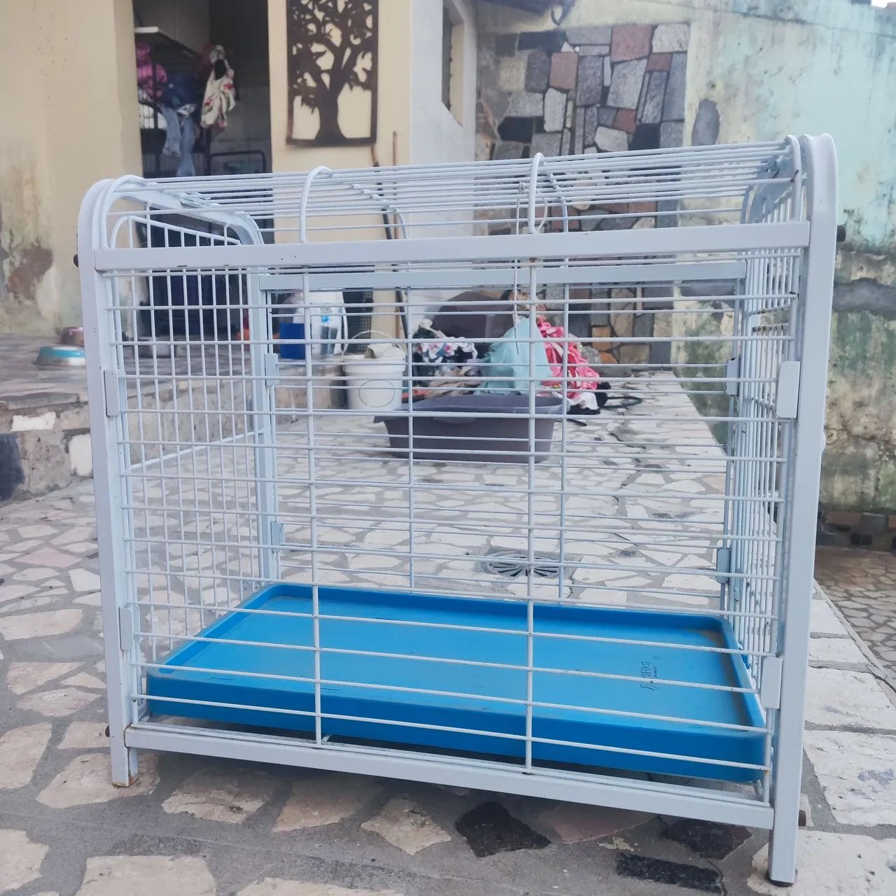 Gaiola nova  - Foto 2