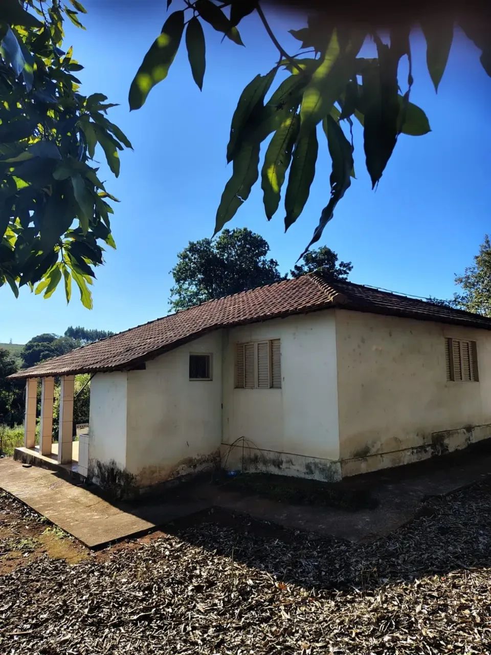 Lavoura café ,casa ,secador ,represas - Foto 5