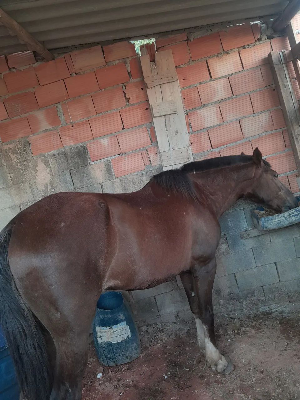 Vende se