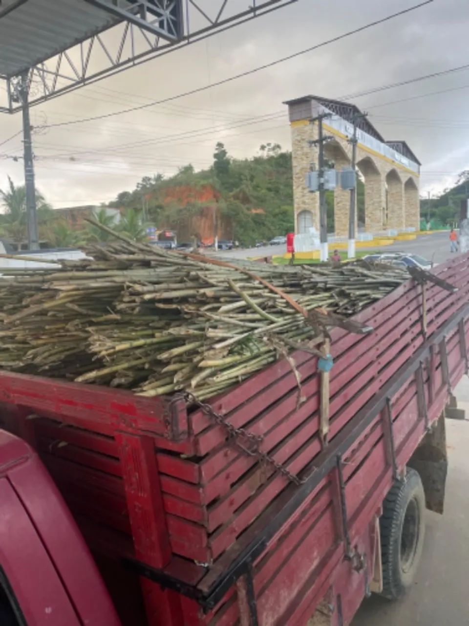 Vara de caniço para bandeiras - Foto 4