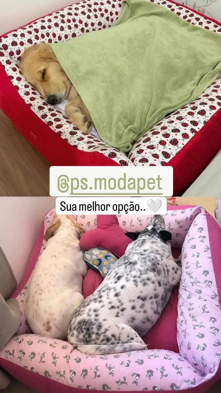 Camas pet  + almofadas de brinde - Foto 3