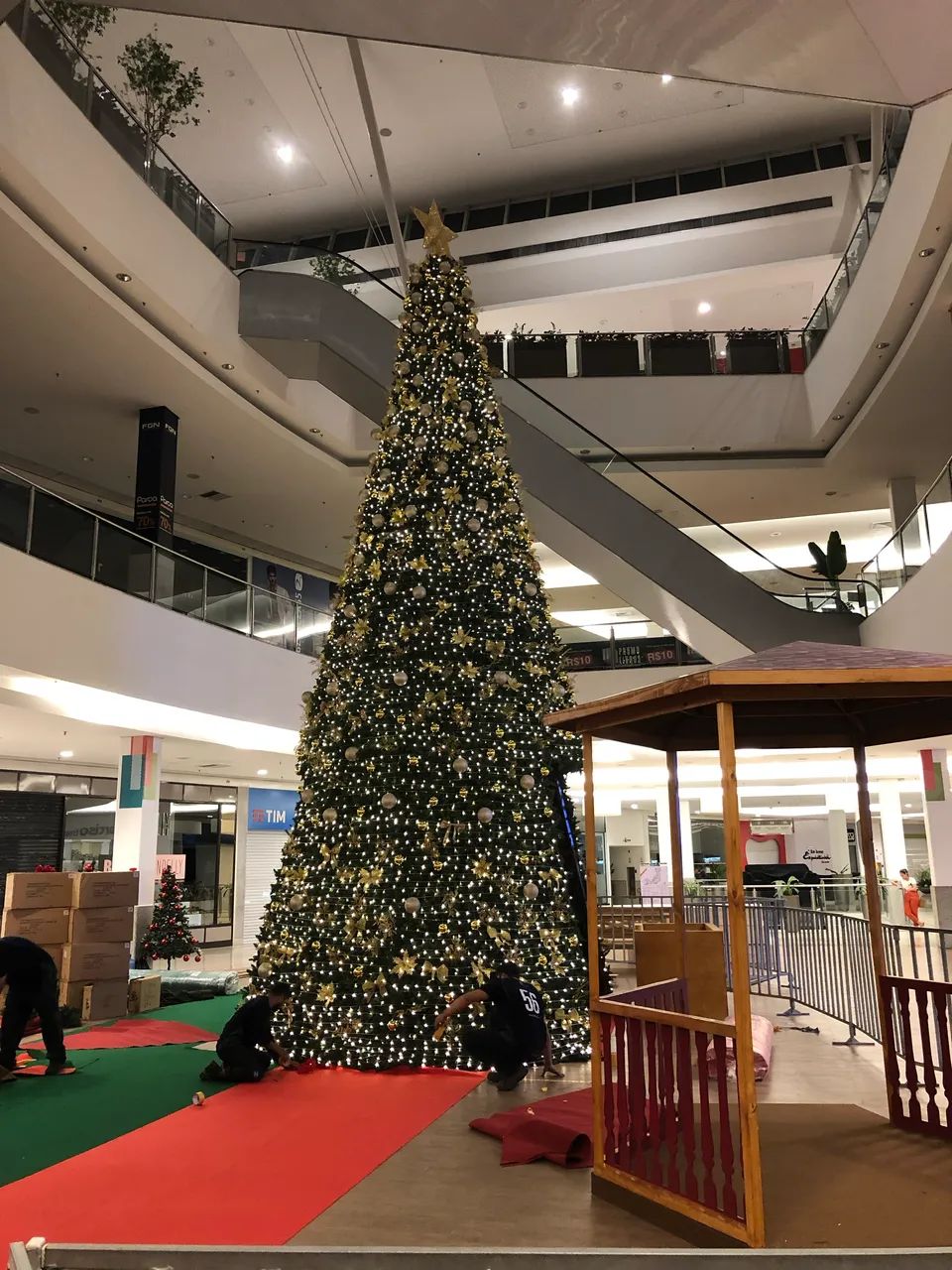 ÁRVORE DE NATAL - 8m de altura - Foto 2