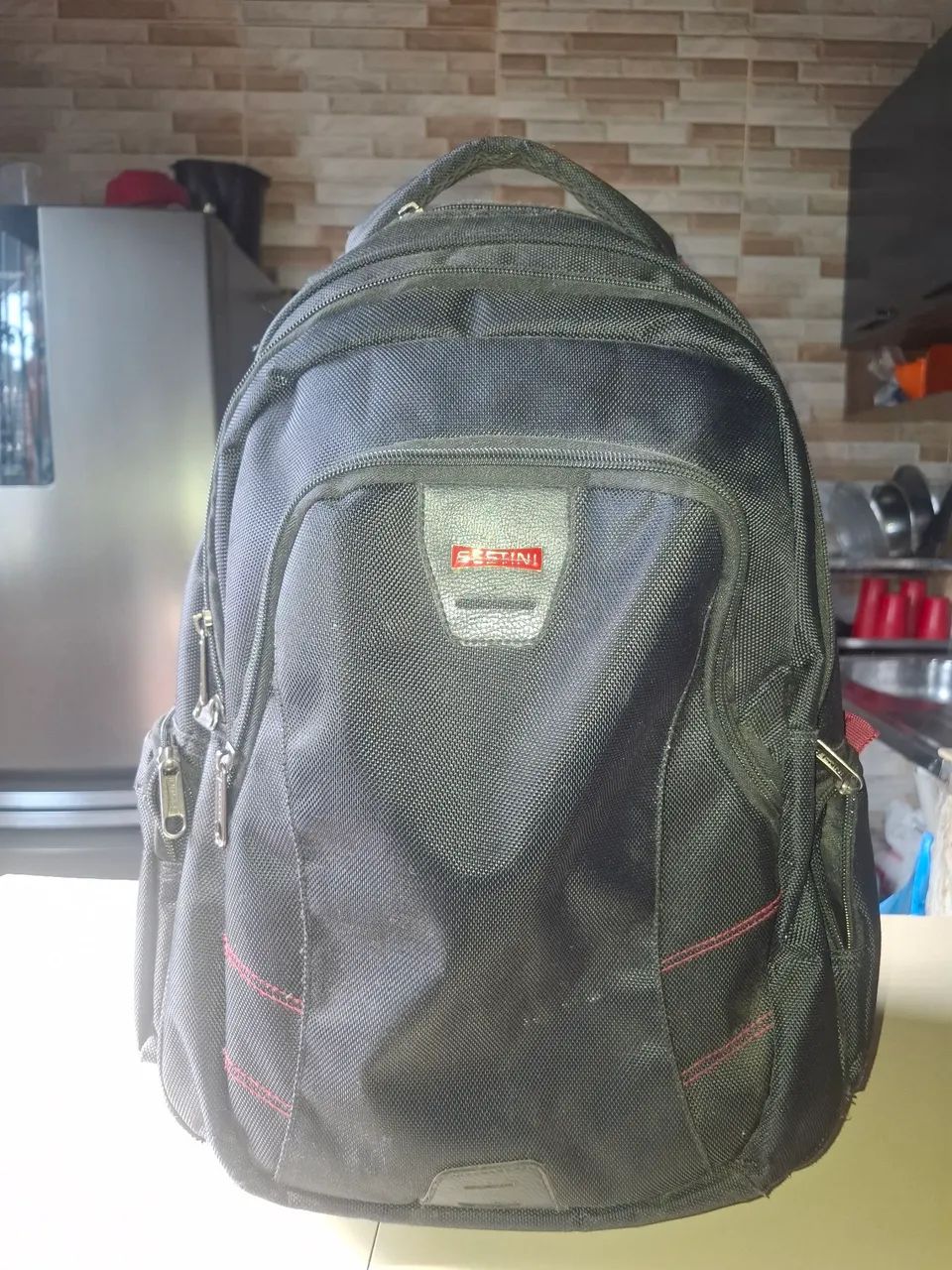 Vendo mochila Sestini 