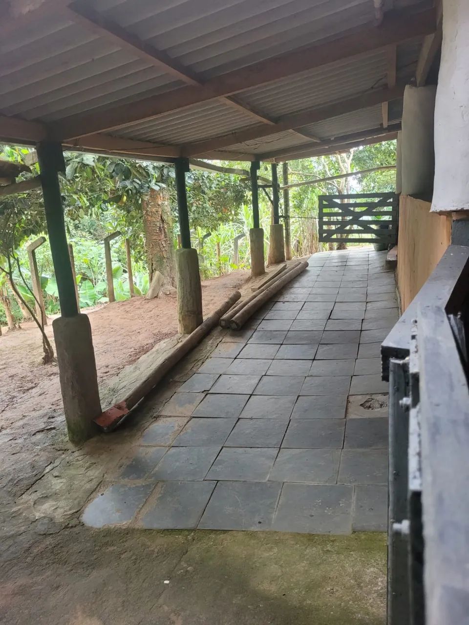 Foto - São Paulo - Parque Guarani