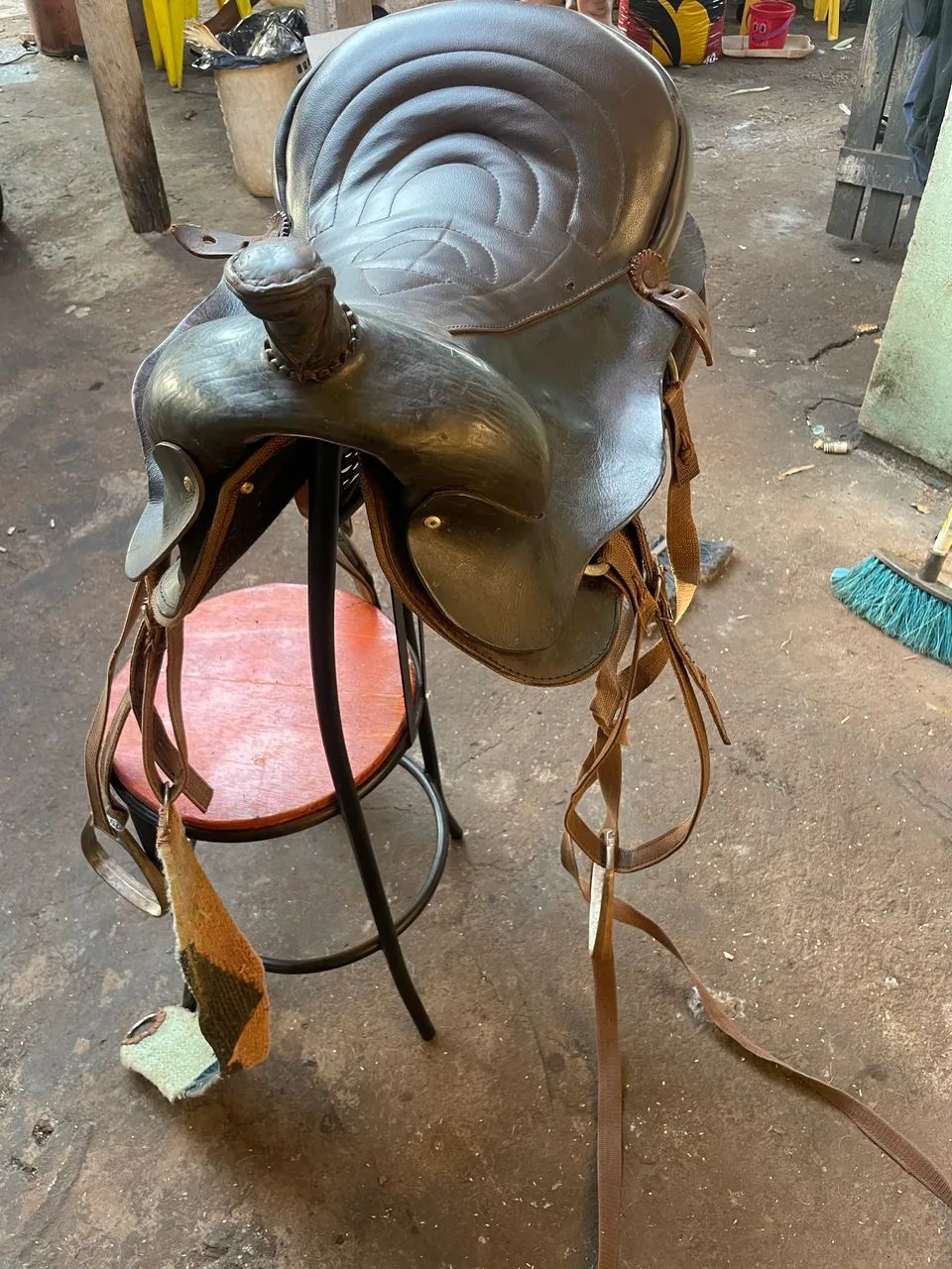 Cavalo manso  - Foto 4