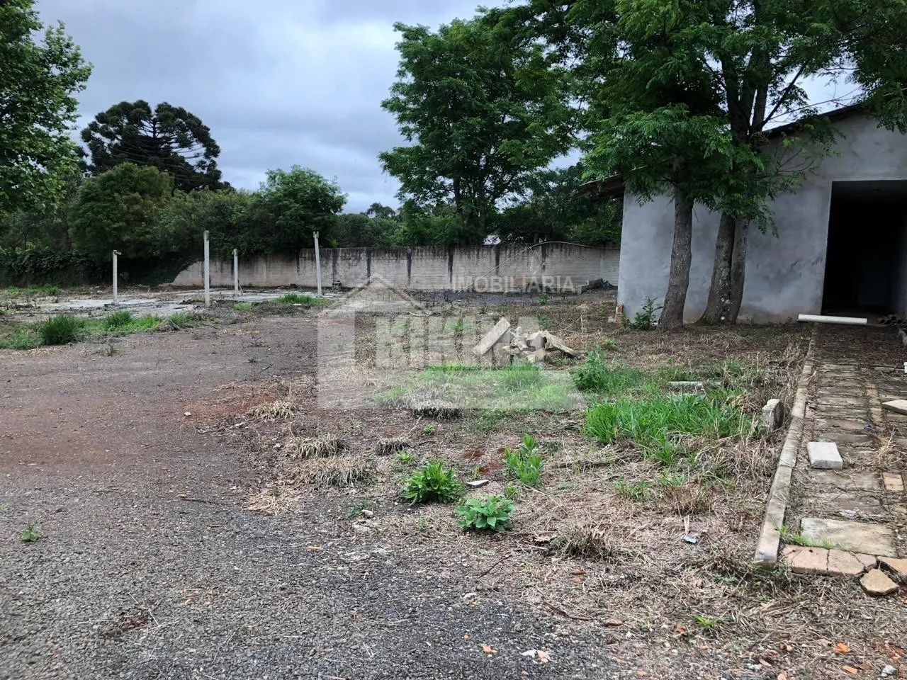 TERRENO À VENDA EM UVARANAS - Foto 3