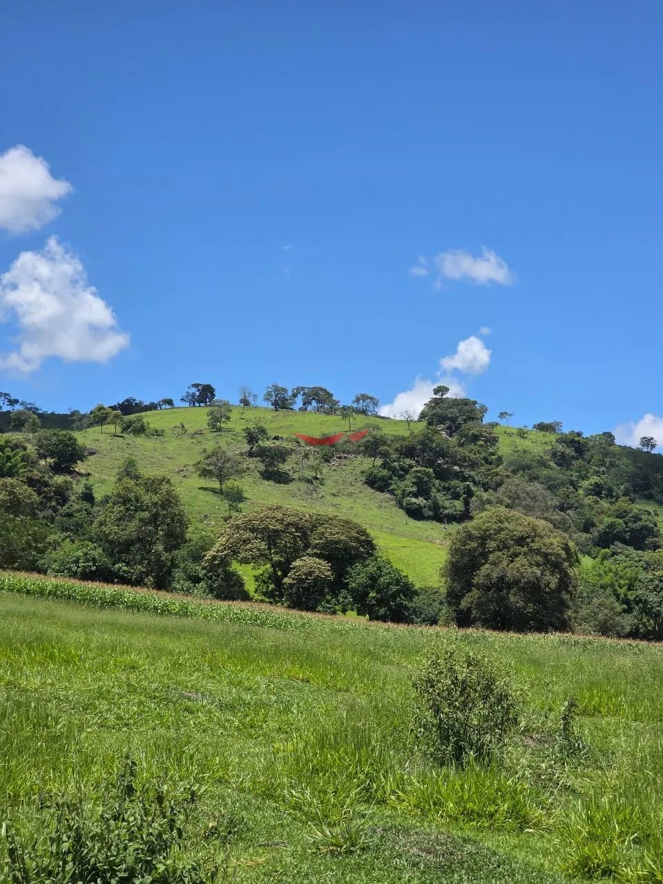 Lote / Terreno à venda em Piracema - Foto 5