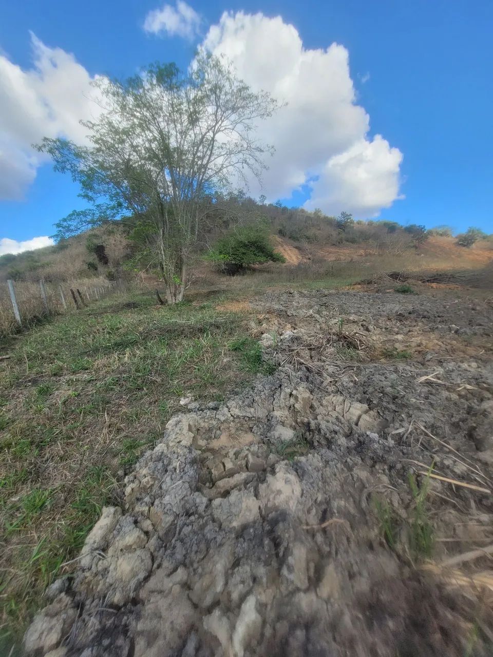 Terreno - Foto 3