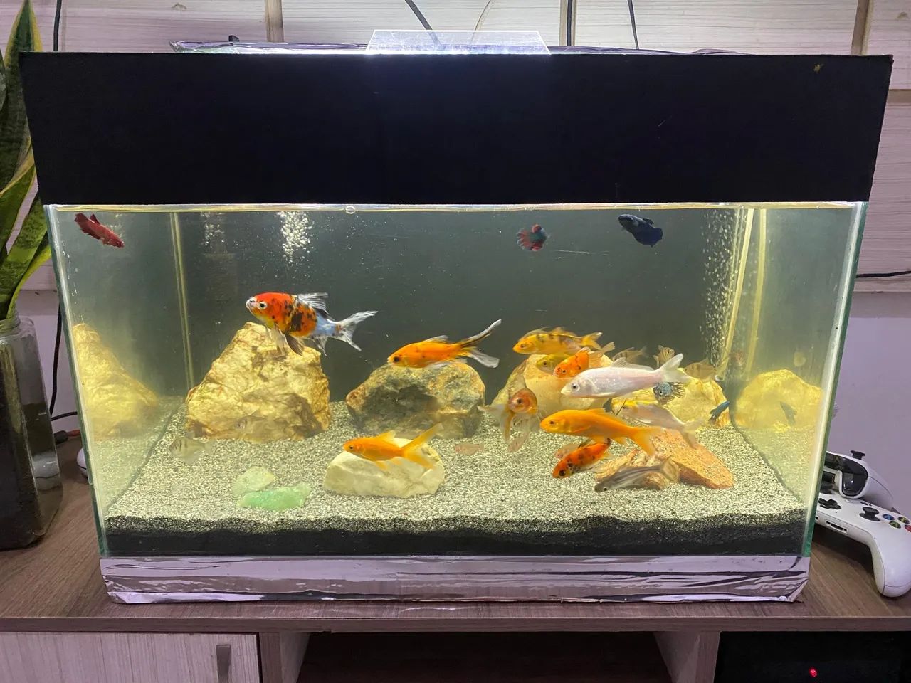 Aquário 100 Litros - Foto 2