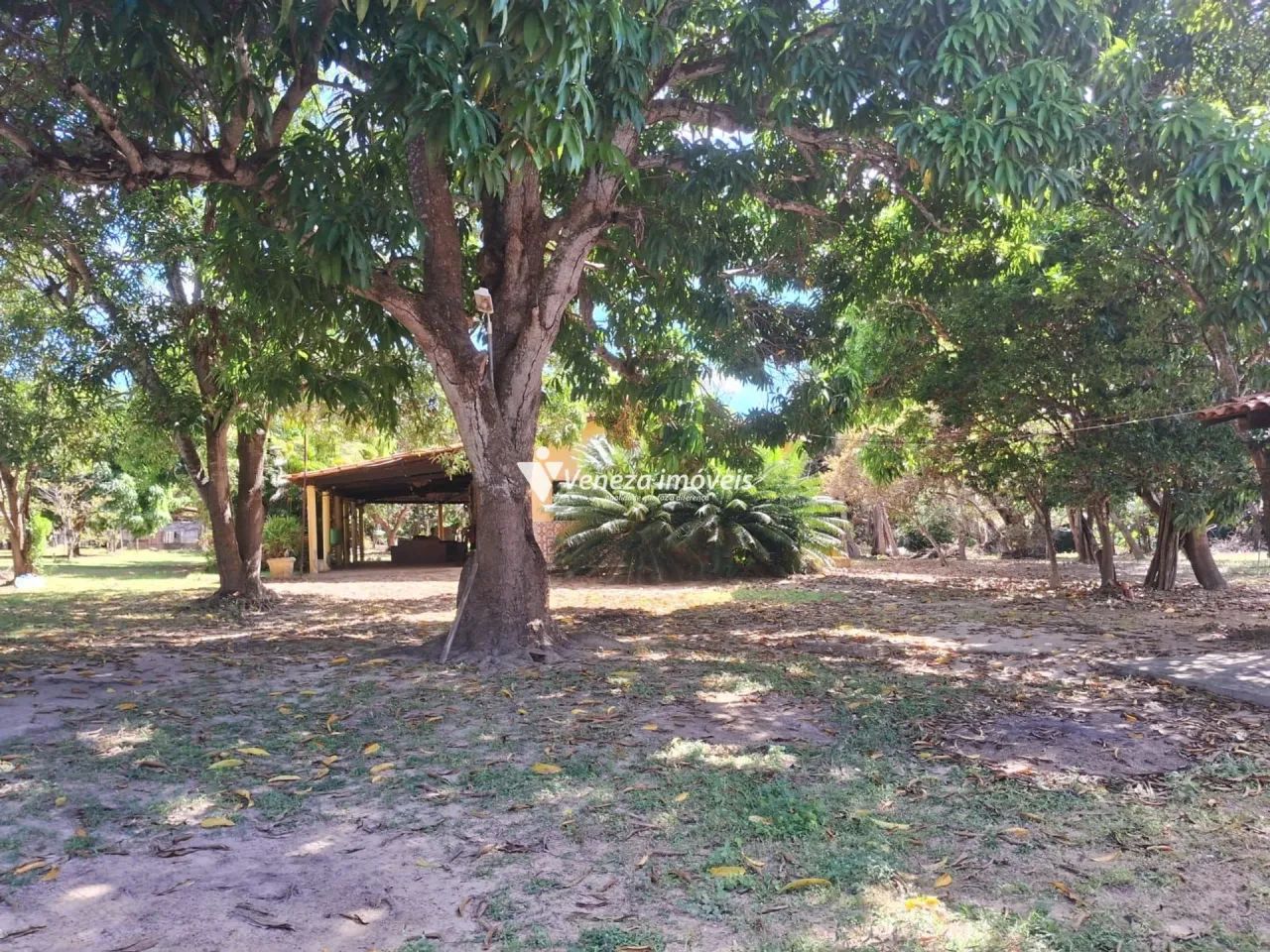 SÍTIO PARA VENDA LAGUNA. - Foto 5