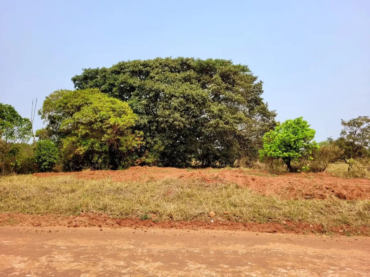 Terreno em Sidrolandia/MS