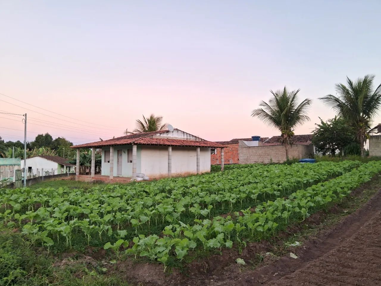 Casa com Terreno - Zona Rural de Lagarto 