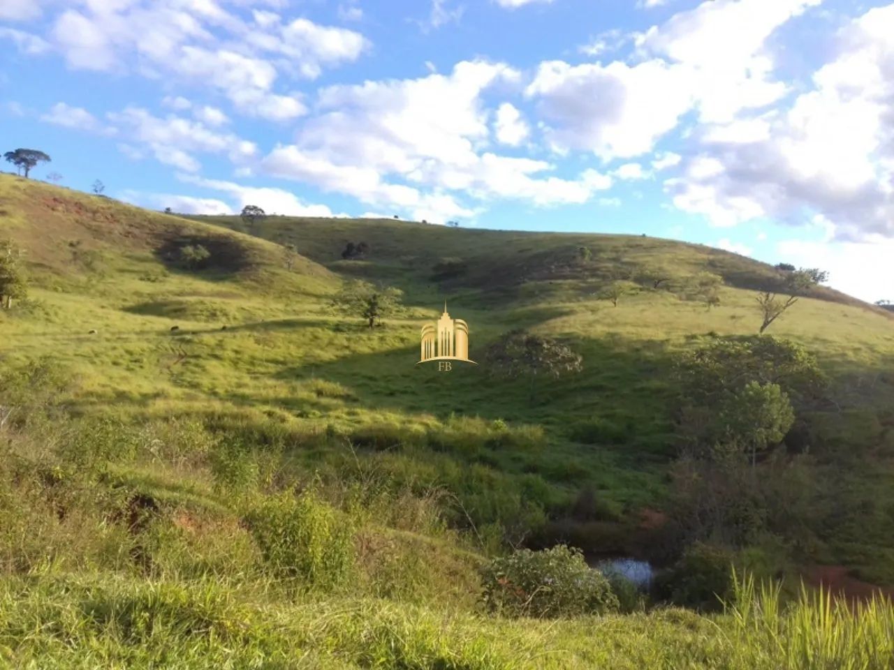 FAZENDA A VENDA CIDADE CARMÉSIA/MG - Foto 4