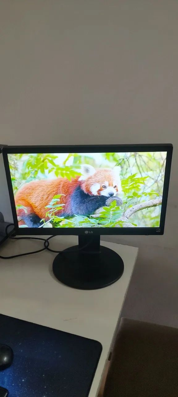 Monitor LG 20" VGA/DVI com base giratória 