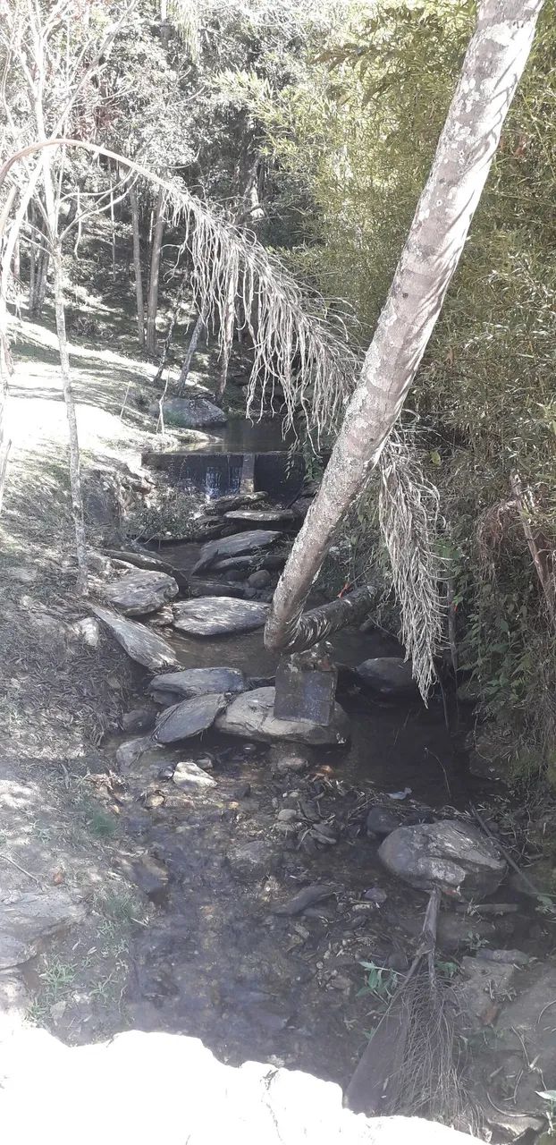 Sítio com rio de água potável  - Foto 2