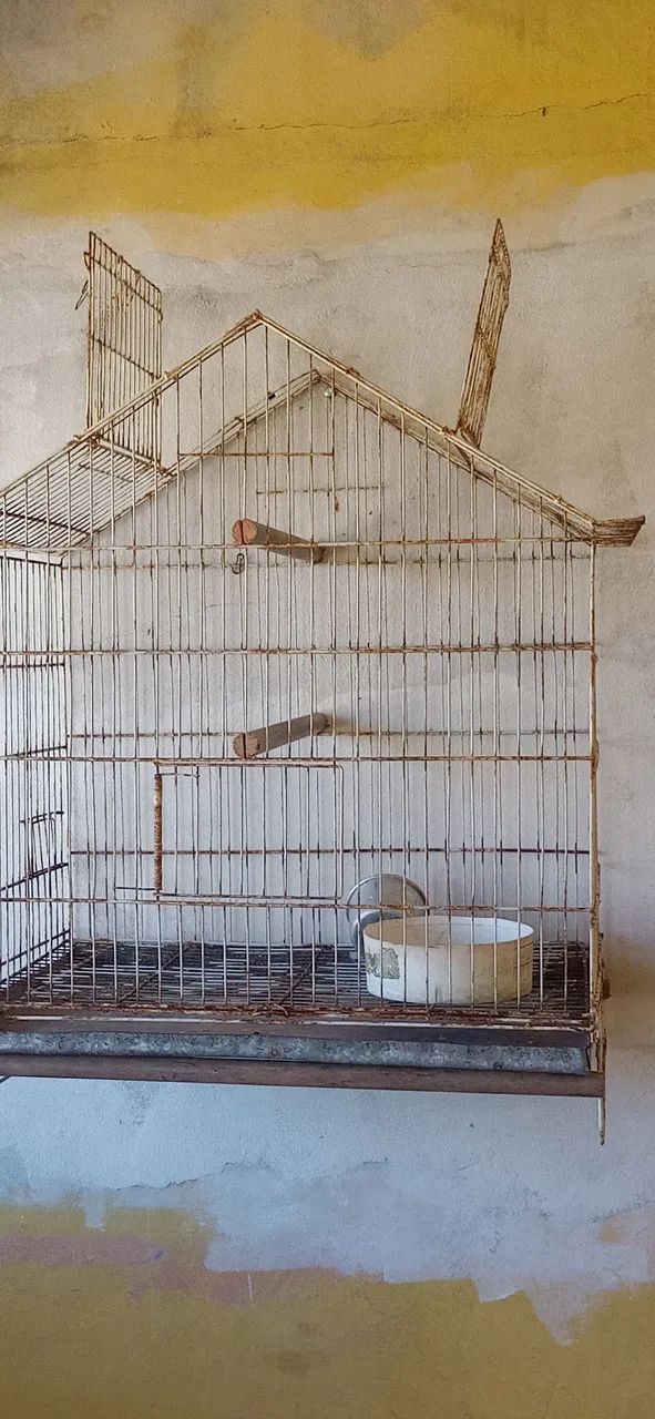 Gaiola - Foto 4