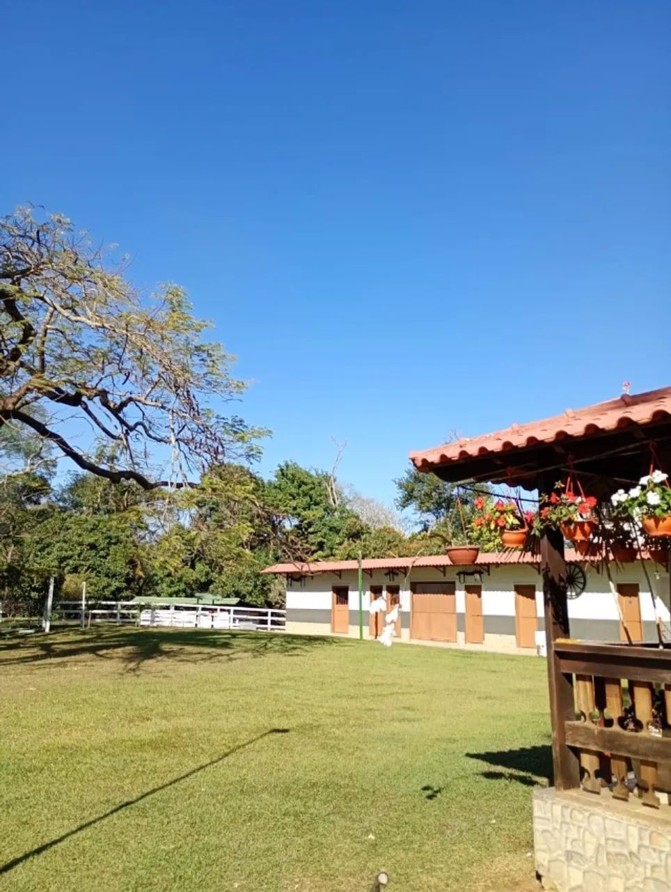 Sítio porteira fechada - Foto 5