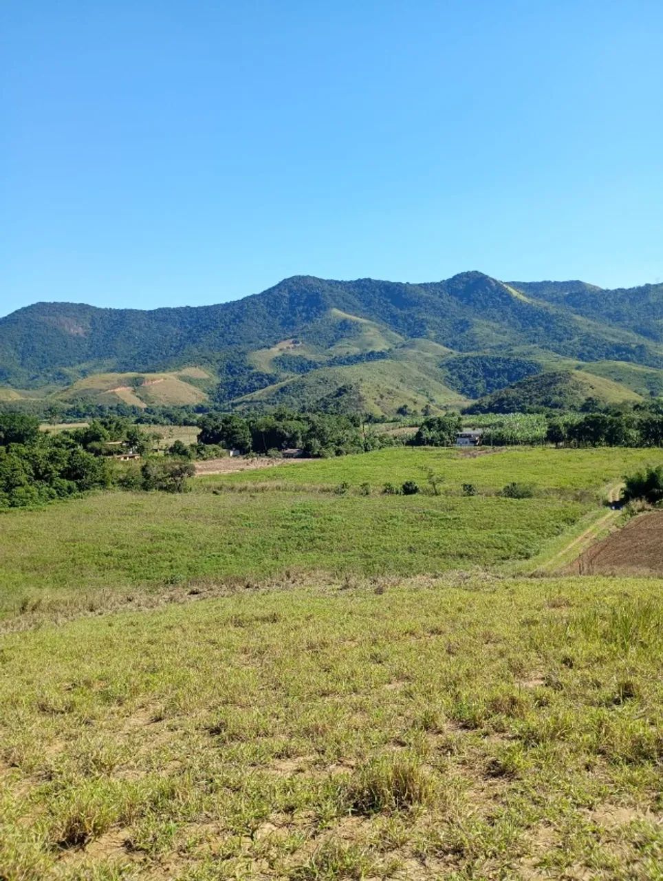 SÍTIO JACERUBA - RJ - Foto 4