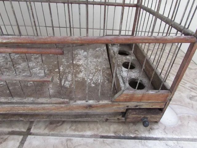 Gaiola - Foto 4