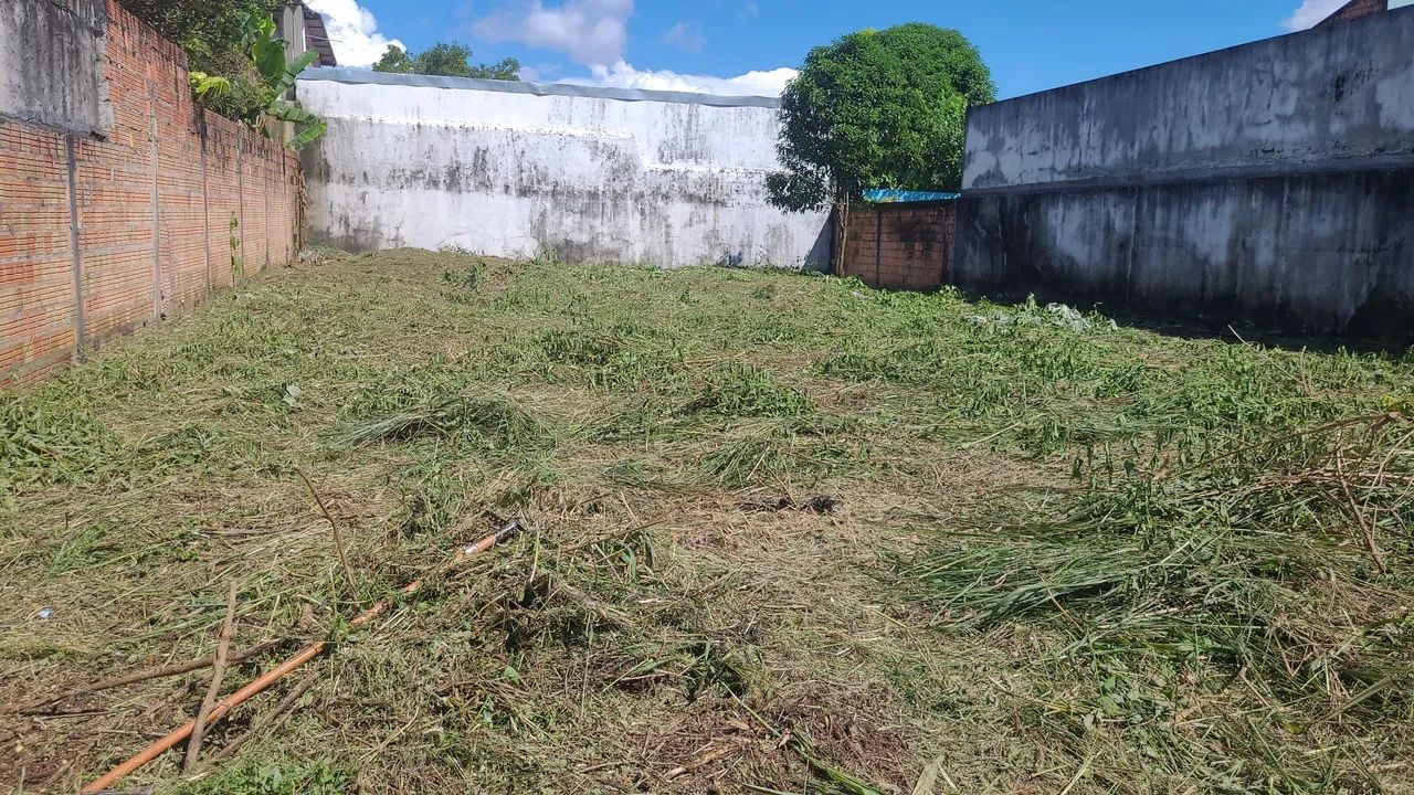 Limpeza de terrenos  - Foto 5