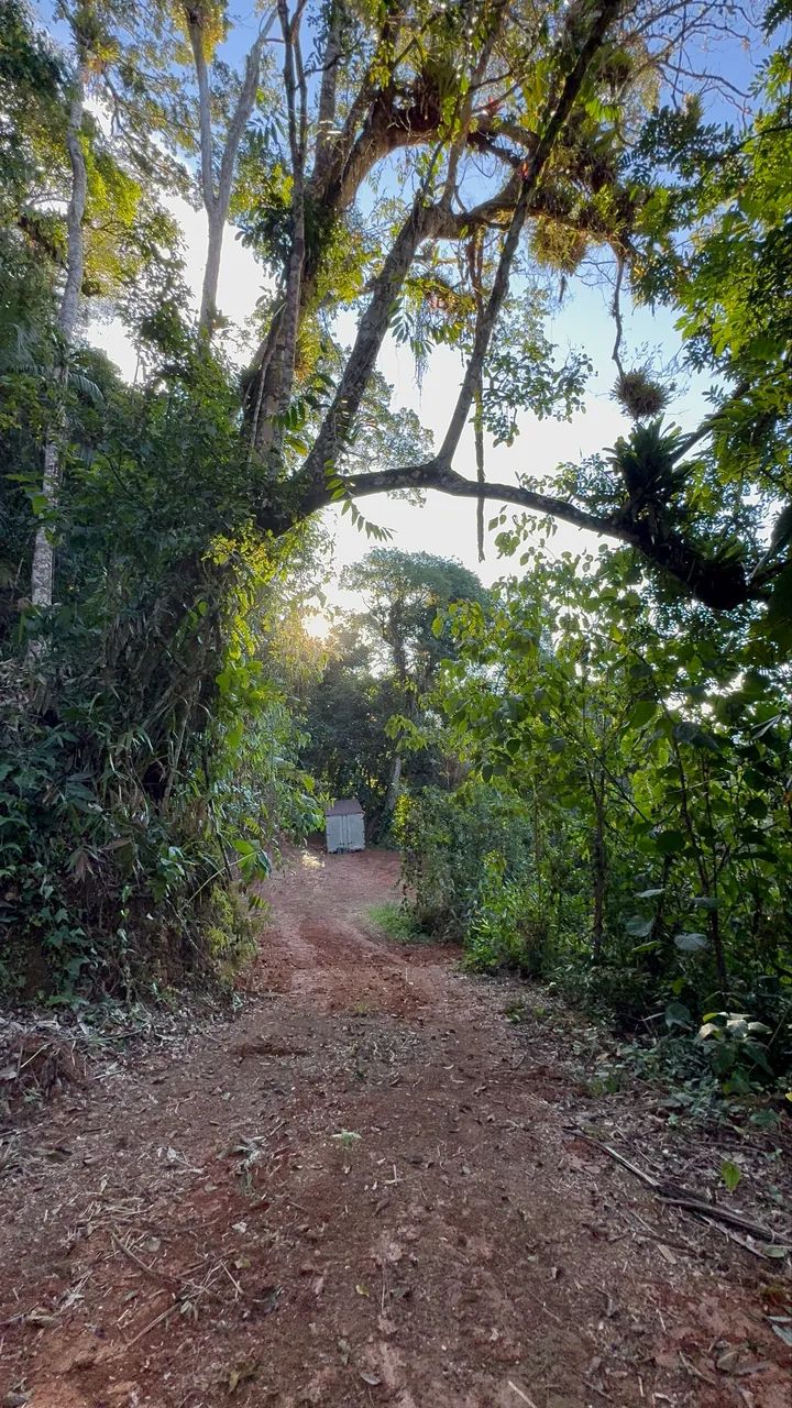 Sítio de 2 alqueires a venda - Foto 4