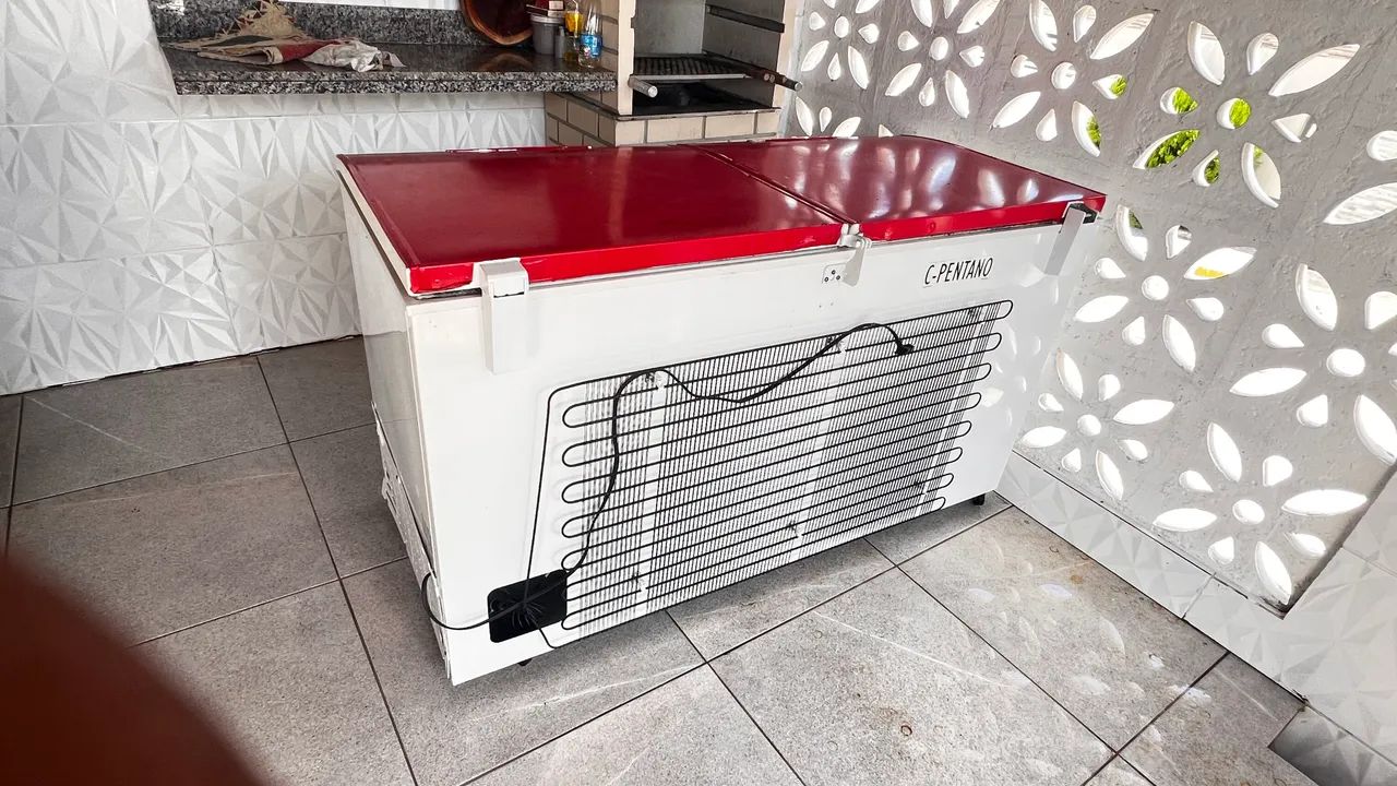 Freezer Electrolux  - Foto 2