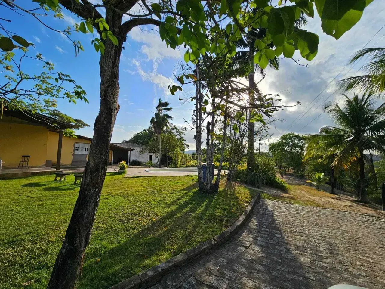 Fazenda  À Venda em Atalaia - Alagoas - Foto 2