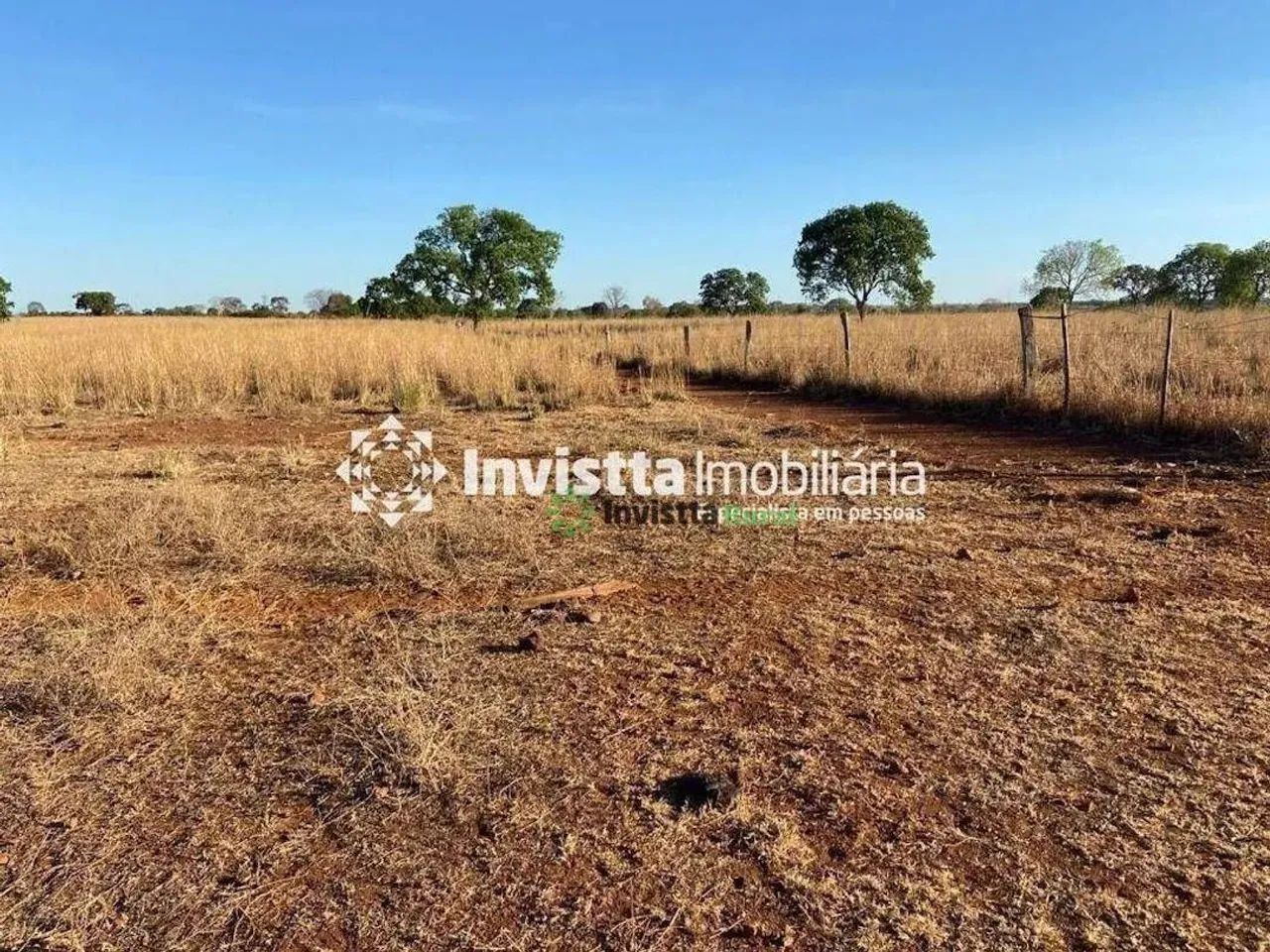 Fazenda à venda com 52 alqueires, excelente logística e aptidão agrícola - Foto 5