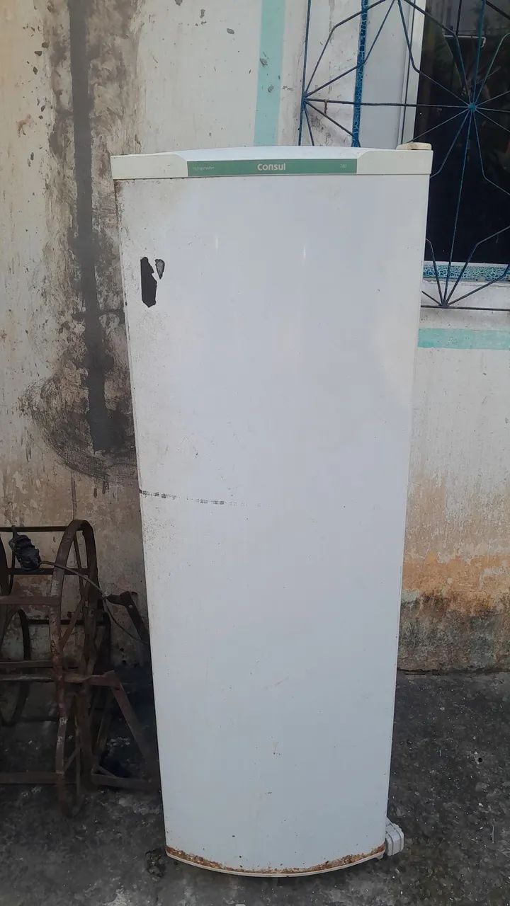 Consul palito - Foto 2