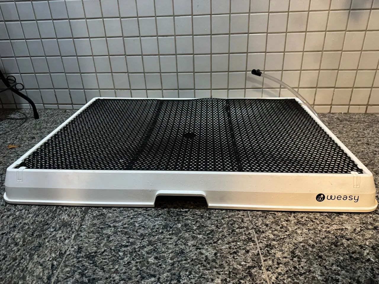Weasy cão G