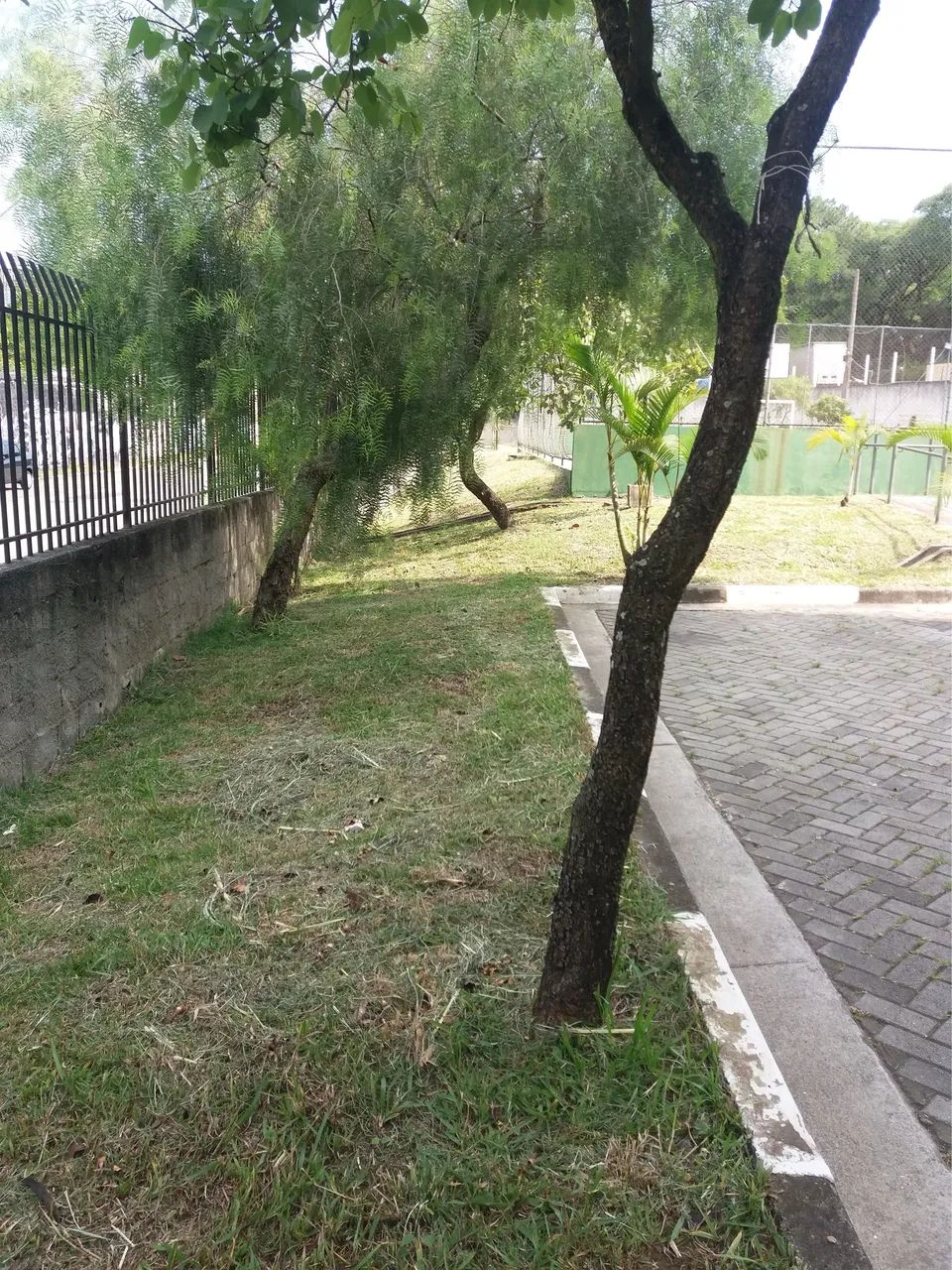 Corte de mato e gramado em Guarulhos - Sp  - Foto 2