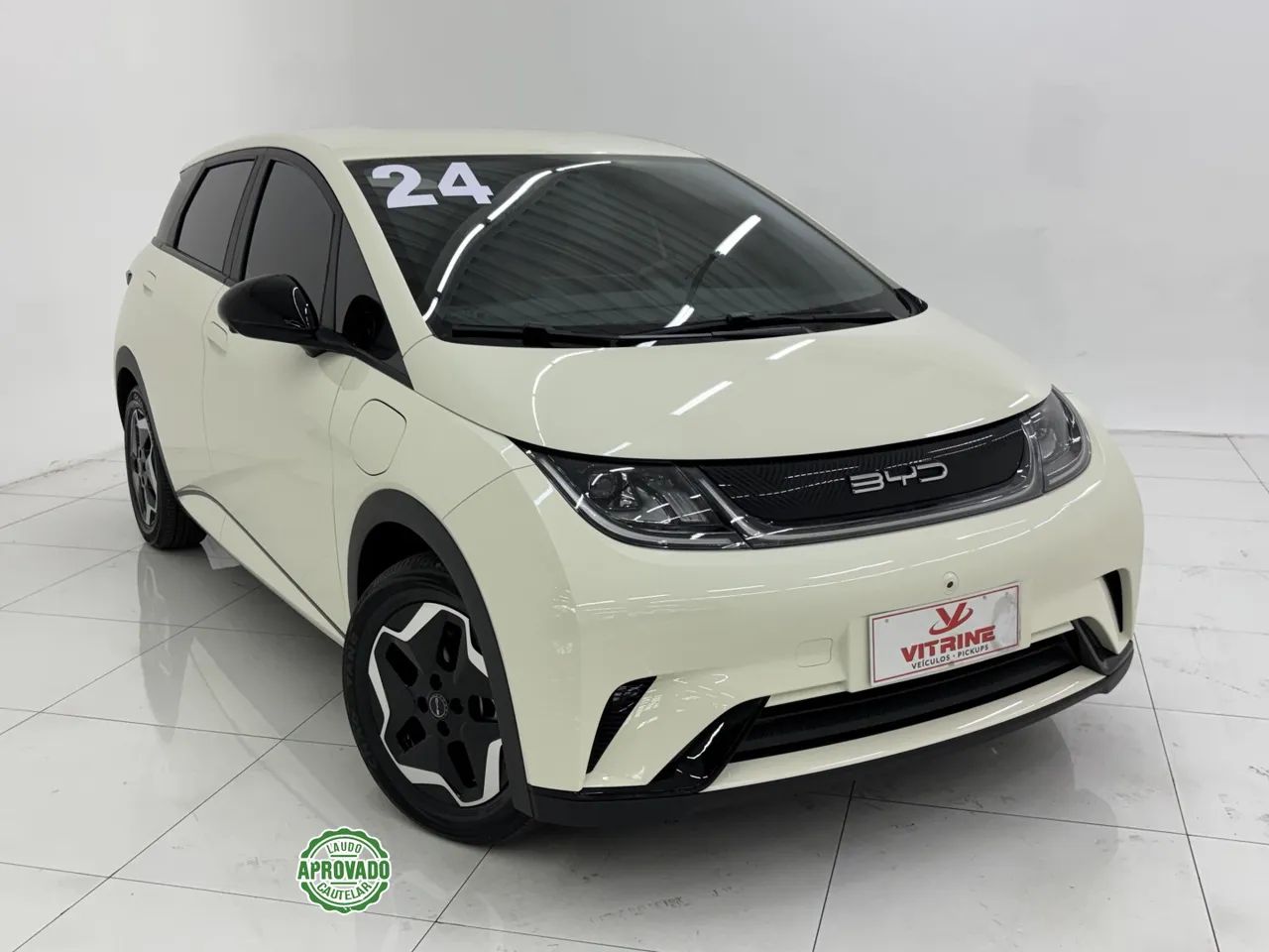 BYD Dolphin EV (Elétrico) 2024