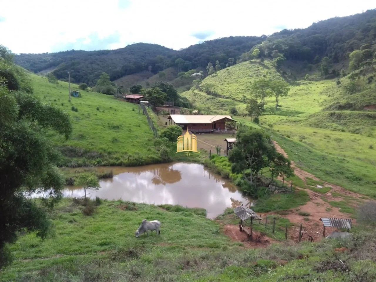 FAZENDA A VENDA CIDADE CARMÉSIA/MG - Foto 3