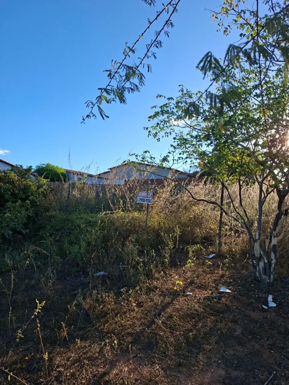 VENDO 3 TERRENOS EM UMARIZAL/RN - EXCELENTE OPORTUNIDADE! - Foto 5