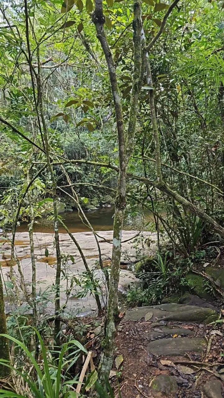 Sítio no mamangua em Paraty  - Foto 2