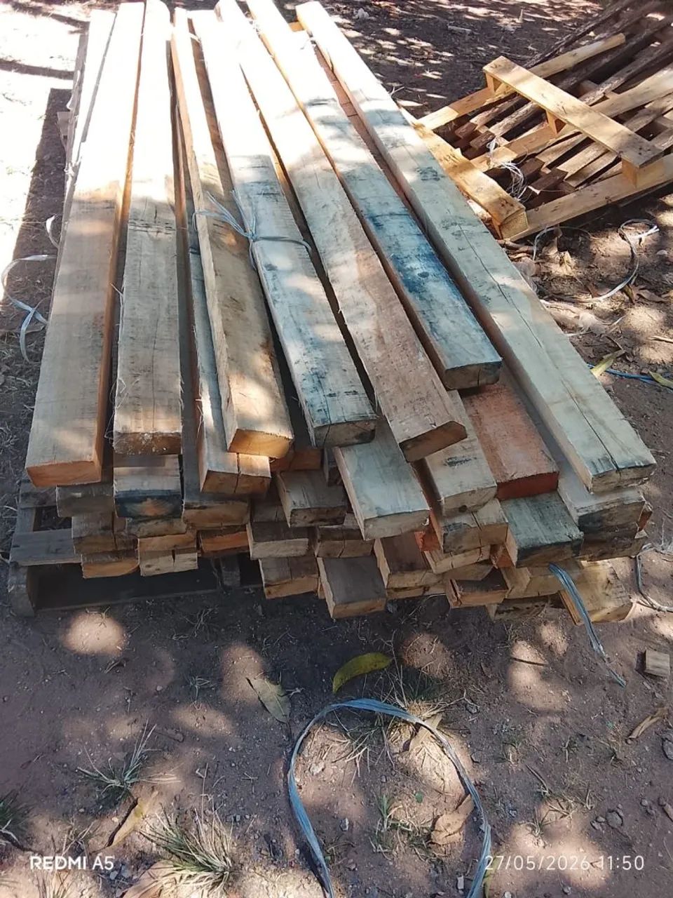 Vigotas 480031022389678083