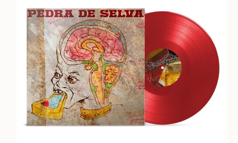 VINIL CURUMIN PEDRA DE SELVA (LACRADO - LP NOIZE) - Foto 2