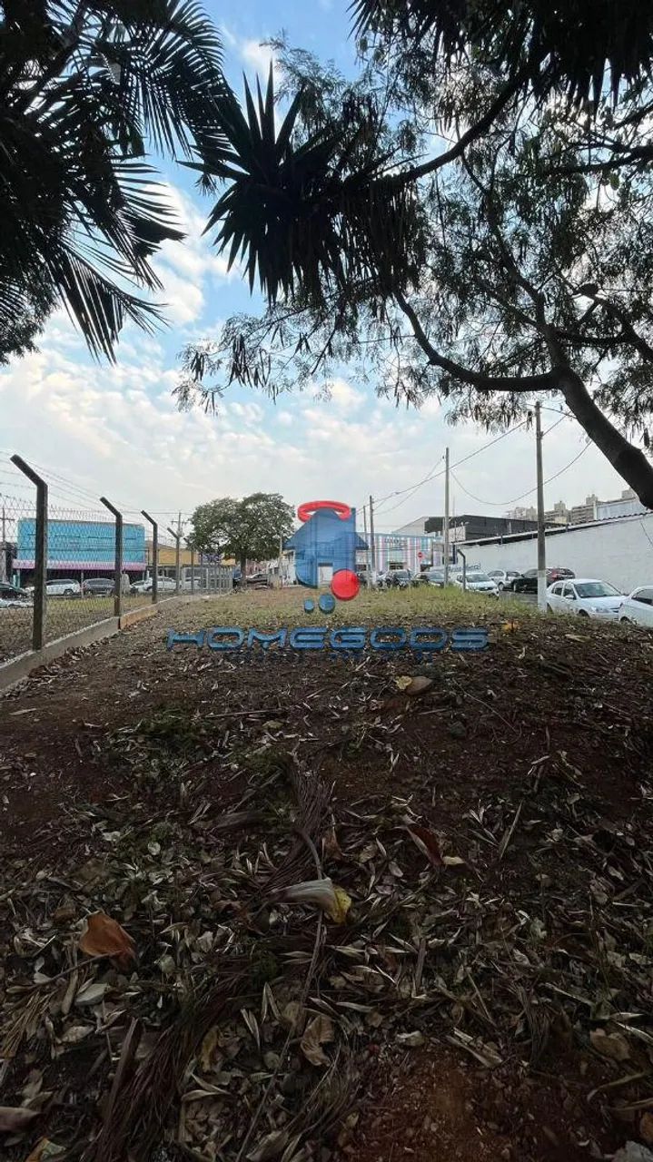 Terreno à venda e para alugar em Campinas, Taquaral, com 400 m² - Foto 3