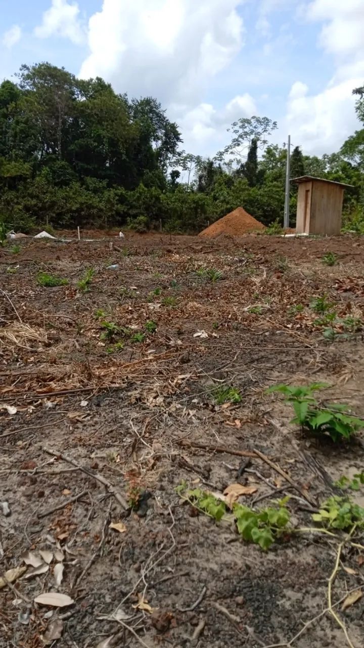 Vendo sitio 10.000 m2 com igarape - Foto 5