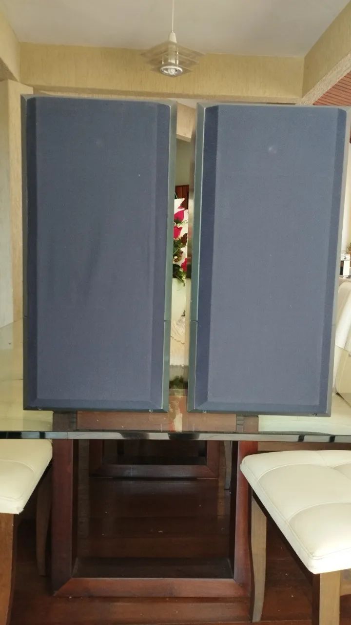 CAIXAS DE SOM BW DM 610