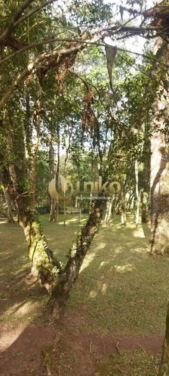 Chácara em São José dos Pinhais - Foto 5